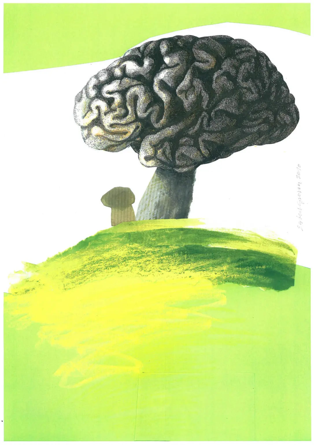 Neuropraxis Weilheim Gehirn auf Huegel Illustration